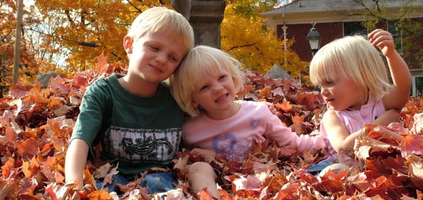 blog_fall.jpg